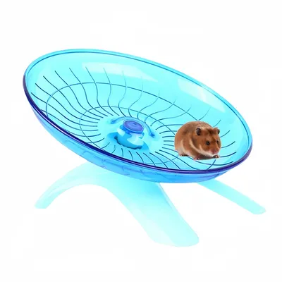 FurryFusion Roue d'exercice pour petits animaux FurryFusion Roue d'exercice pour petits animaux