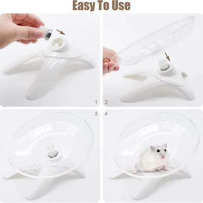 FurryFusion Roue d'exercice pour petits animaux