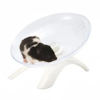 FurryFusion Roue d'exercice pour petits animaux