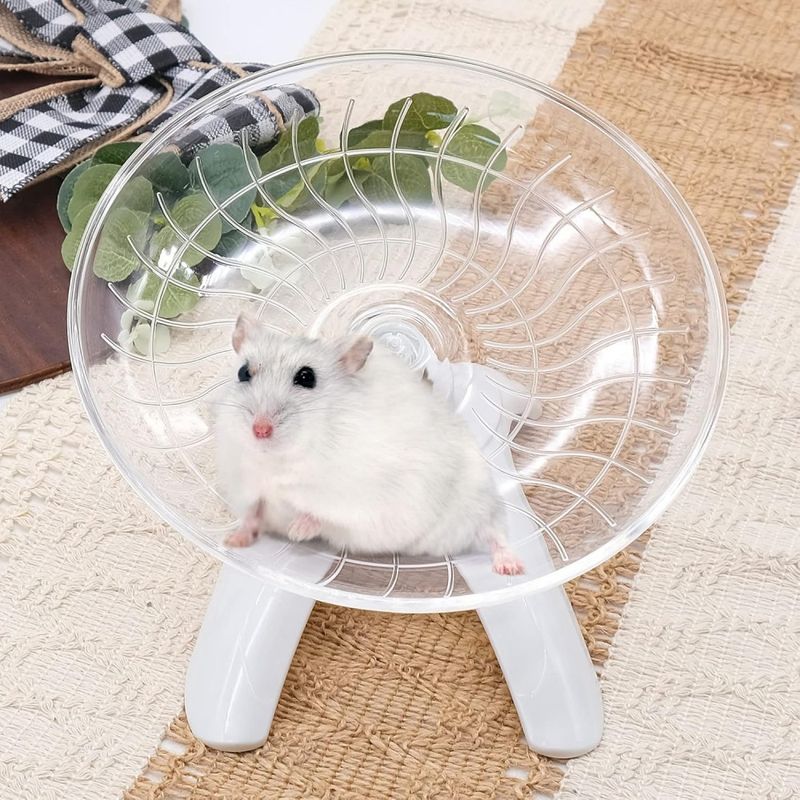 FurryFusion Roue d'exercice pour petits animaux