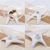 FurryFusion Roue d'exercice pour petits animaux
