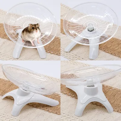 FurryFusion Roue d'exercice pour petits animaux