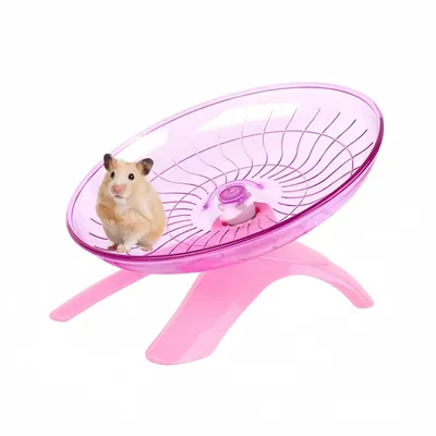 FurryFusion Roue d'exercice pour petits animaux