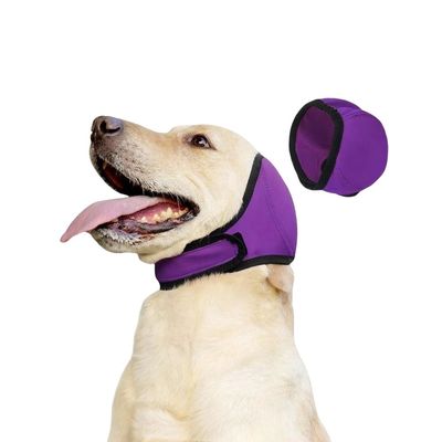 ZenPets Cache - Oreilles pour Chien