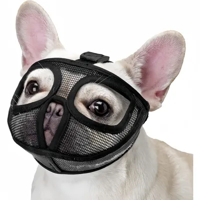 Pet Planet BulldogFit Muselière Pour Bouledogue