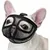 Pet Planet BulldogFit Muselière Pour Bouledogue Pet Planet BulldogFit Muselière Pour Bouledogue