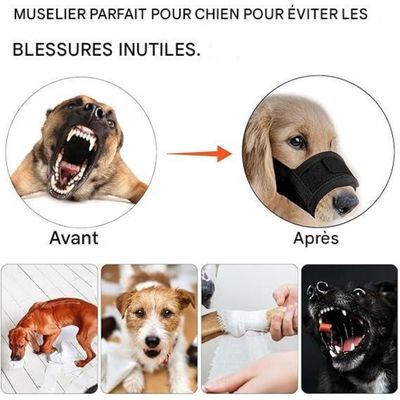 ZenPets Soft Mesh Muzzle Pour Chiens De Petite Et Moyenne Taille