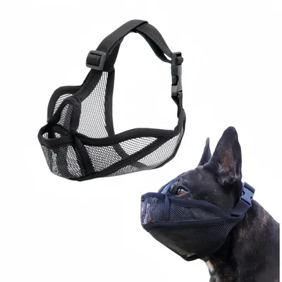 FurryFusion Muselière anti-morsure pour chien