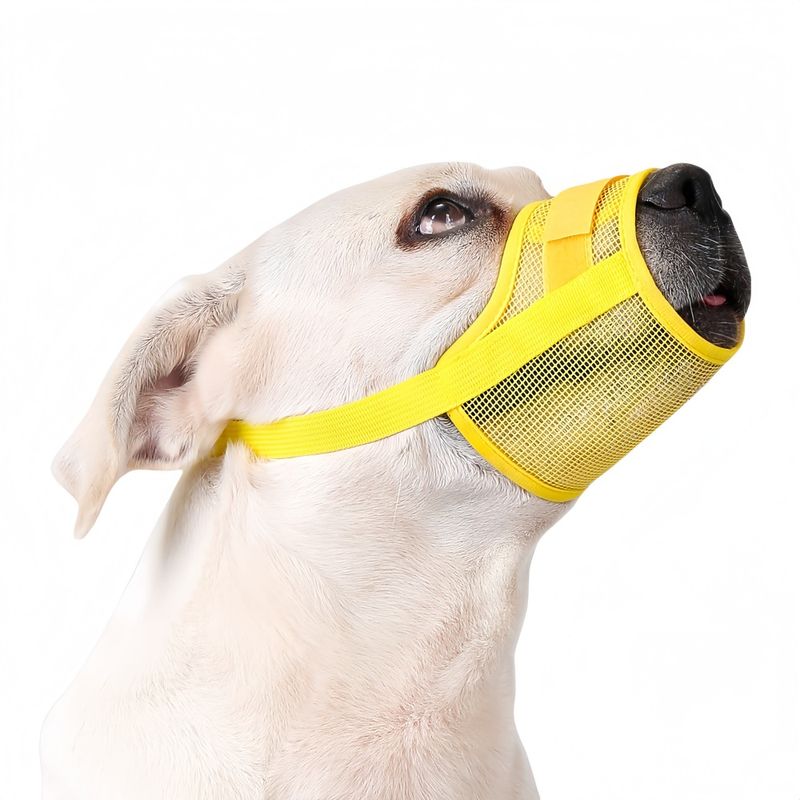 FurryFusion Muselière réglable anti-morsure pour chien