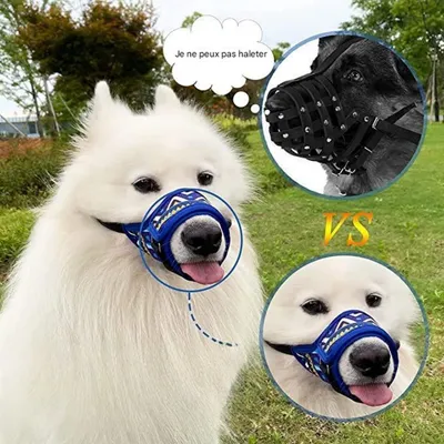 ZenPets Muselière pour chien avec boucle réglable