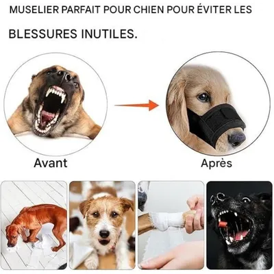 ZenPets Soft Mesh Muzzle Pour Chiens De Petite Et Moyenne Taille