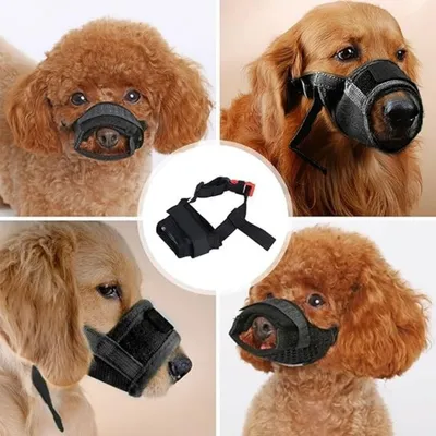 ZenPets Soft Mesh Muzzle Pour Chiens De Petite Et Moyenne Taille