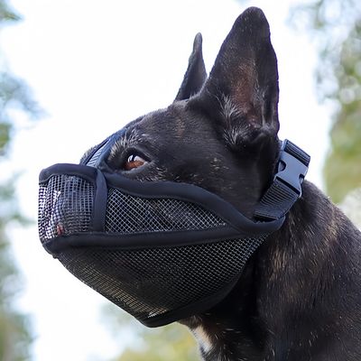 FurryFusion Muselière anti-morsure pour chien