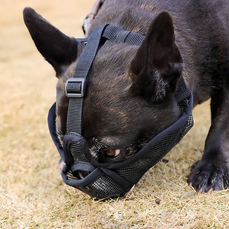 FurryFusion Muselière anti-morsure pour chien
