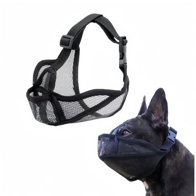 FurryFusion Muselière anti-morsure pour chien