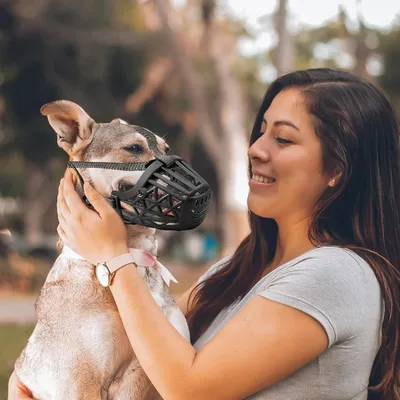 Pet Planet Muselière de Dressage Respirant en Maille Réglable Chiens