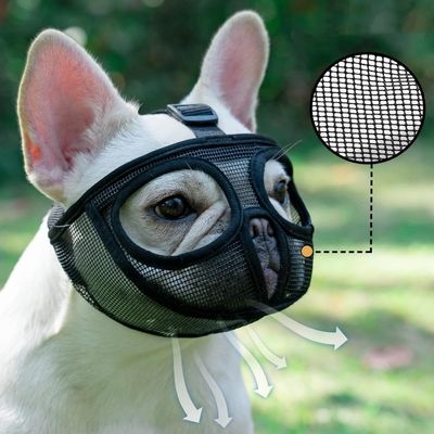 Pet Planet BulldogFit Muselière Pour Bouledogue