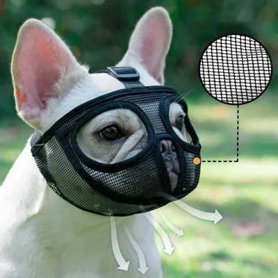 Pet Planet BulldogFit Muselière Pour Bouledogue