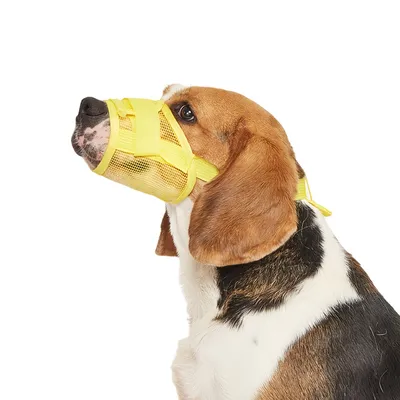 FurryFusion Muselière réglable anti-morsure pour chien