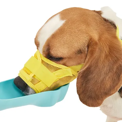 FurryFusion Muselière réglable anti-morsure pour chien