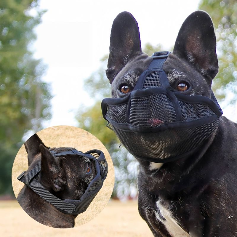 FurryFusion Muselière anti-morsure pour chien