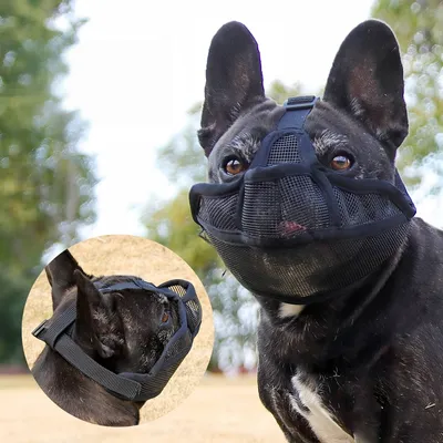 FurryFusion Muselière anti-morsure pour chien