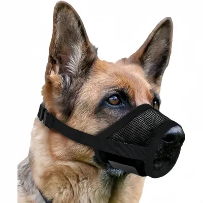 Pet Planet SoftMuzzle Muselière Pour Chiens Pet Planet SoftMuzzle Muselière Pour Chiens