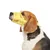 FurryFusion Muselière réglable anti-morsure pour chien