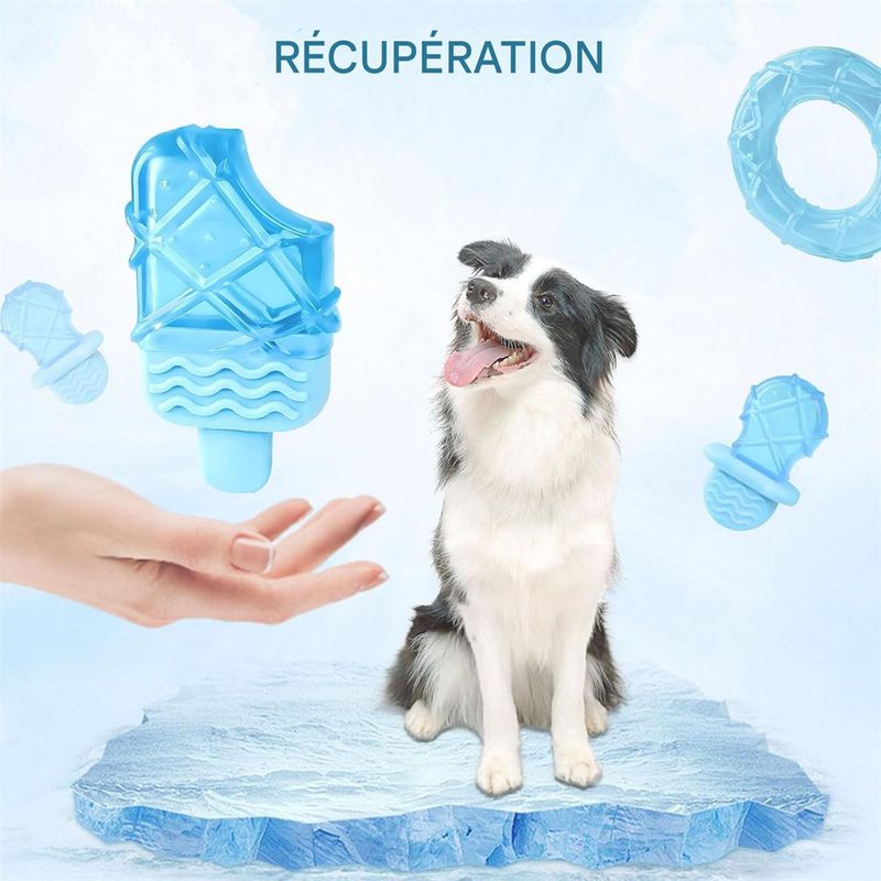 ZenPets Jouet de refroidissement pour chien