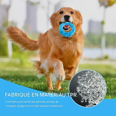 ZenPets Jouet de refroidissement pour chien