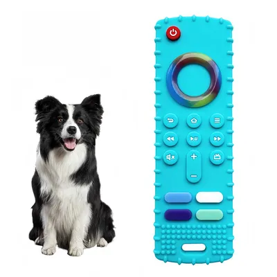 IntiMeg Jouet de dentition pour chiot en forme de télécommande