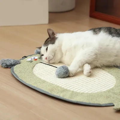 Pet Planet ScratchFun Grattoir Pour Chats