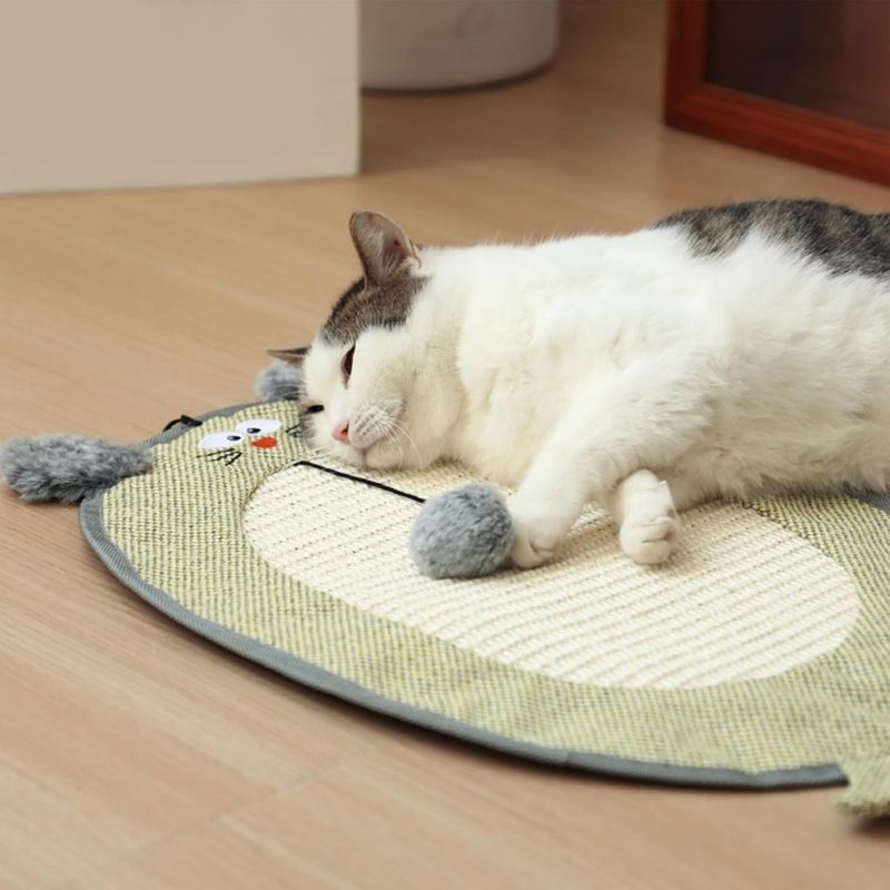 Pet Planet ScratchFun Grattoir Pour Chats