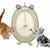 Pet Planet ScratchFun Grattoir Pour Chats