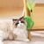 ZenPets Brosse de toilettage pour chat