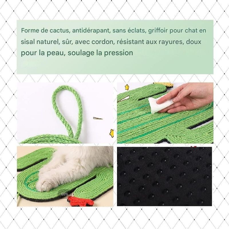 Pet Planet ScratchFun Grattoir Pour Chats