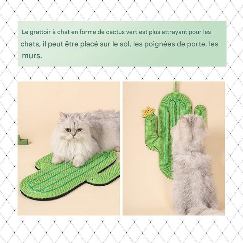 Pet Planet ScratchFun Grattoir Pour Chats