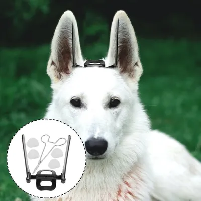 ZenPets Outil de support pour oreilles de chien
