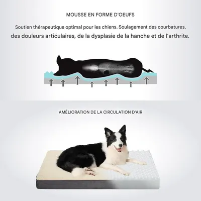Pet Planet Grand Matelas Pour Chien Lavable Pour Chiens