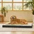Pet Planet Grand Matelas Pour Chien Lavable Pour Chiens