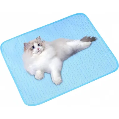Pet Planet Tapis Rafraîchissant pour Chiens et Chats