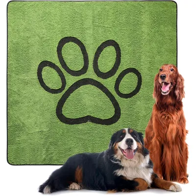 UAMLY Coussinet urinaire pour chien