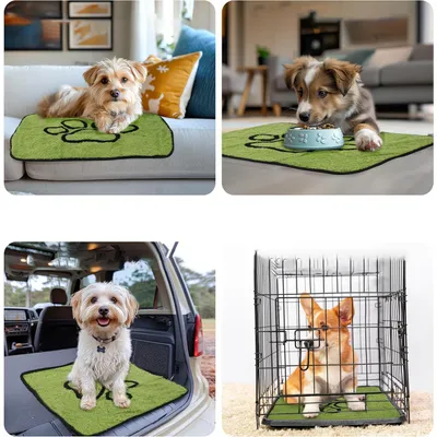 UAMLY Coussinet urinaire pour chien