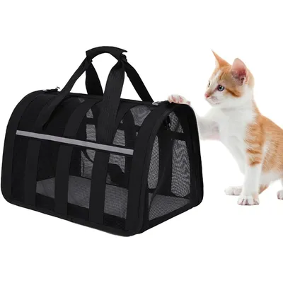 UAMLY Sac pliable et respirant pour chat