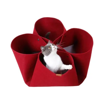 ZenPets Lit tunnel pliable pour chats