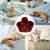 ZenPets Lit tunnel pliable pour chats
