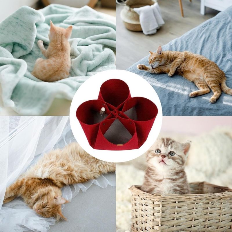 ZenPets Lit tunnel pliable pour chats
