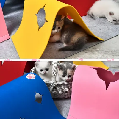 FurryFusion Jouet en feutre tunnel pliable pour petits animaux