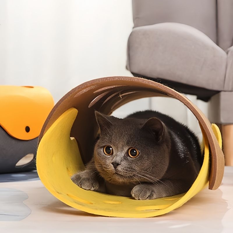 FurryFusion Tunnel pour chat DIY
