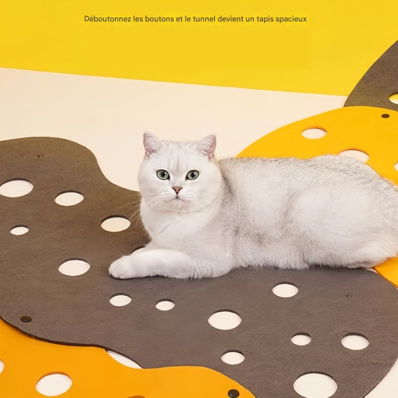 FurryFusion Tunnel pour chat DIY